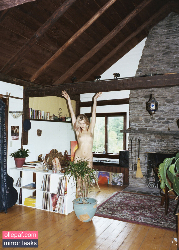 Latest Leaks Abbey Lee Kershaw Nude #181 - Fapello