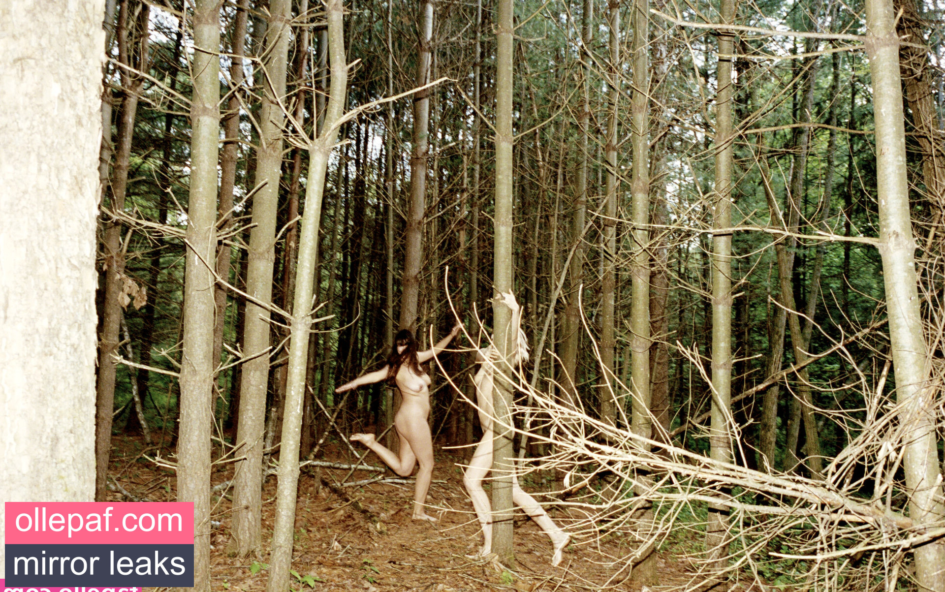 Latest Leaks Abbey Lee Kershaw Nude #211 - Fapello