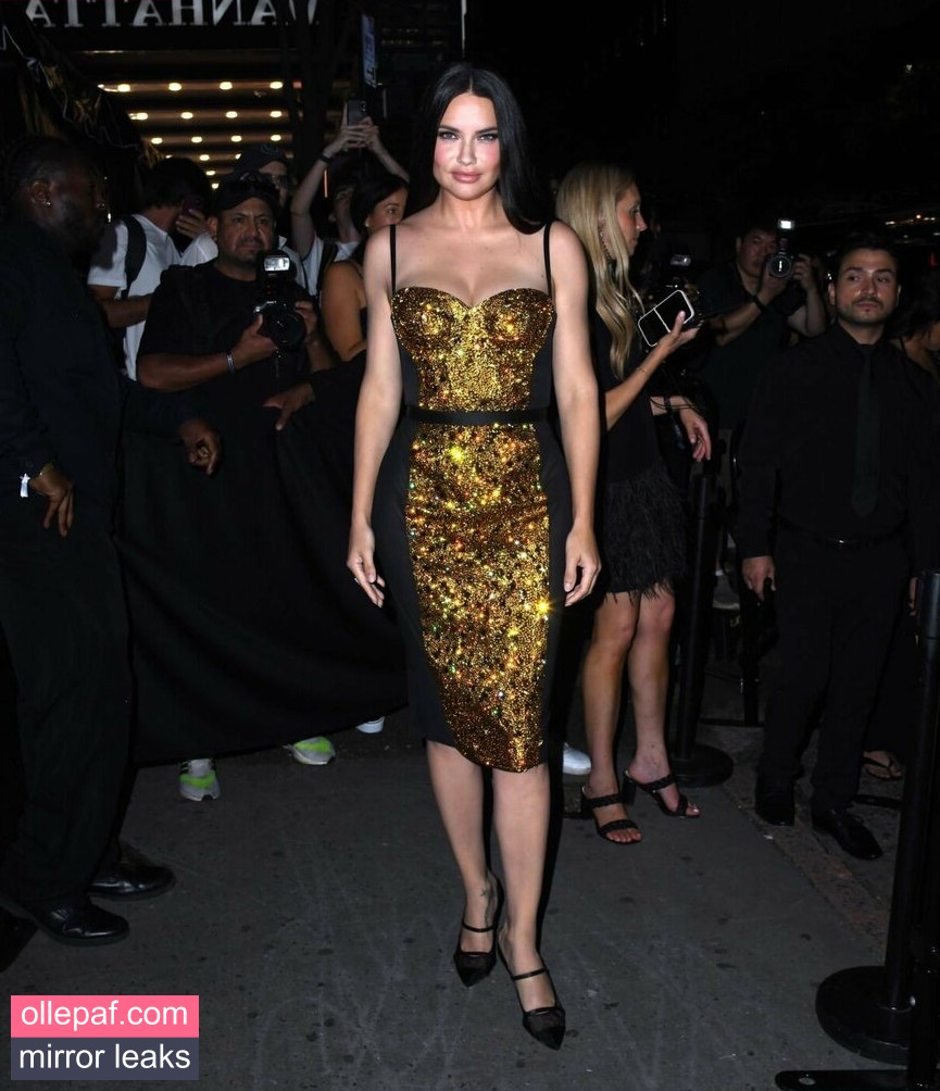 Latest Leaks Adriana Lima Nude #860 - Fapello