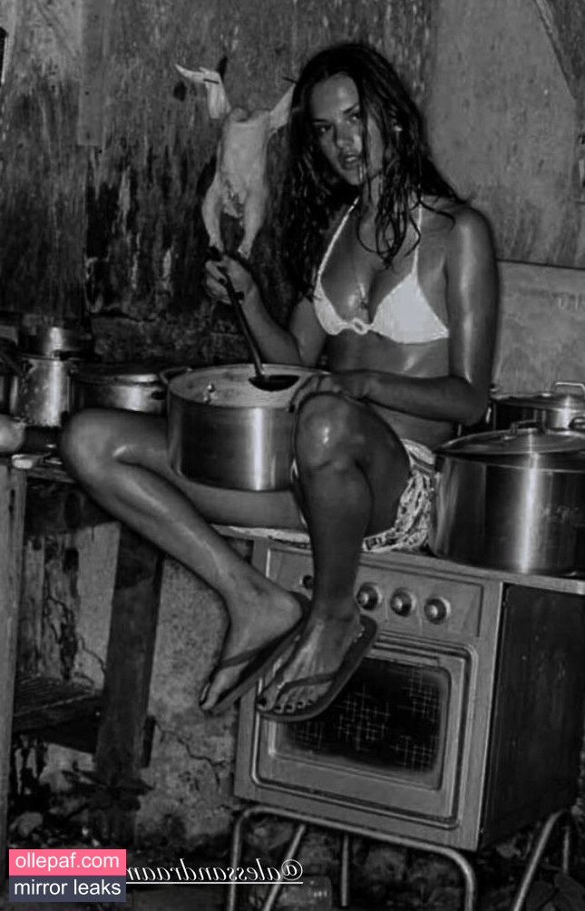 Latest Leaks Alessandra Ambrosio Nude #155 - Fapello