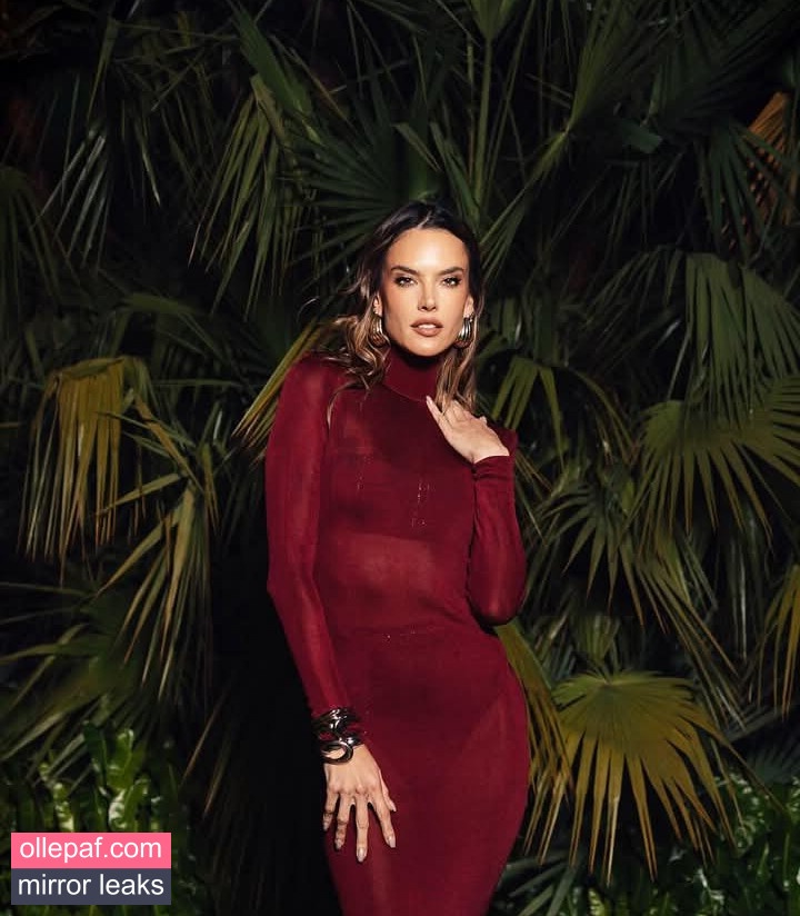 Latest Leaks Alessandra Ambrosio Nude #179 - Fapello
