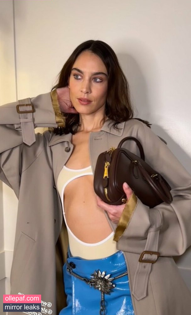 Latest Leaks Alexa Chung Nude #31 - Fapello