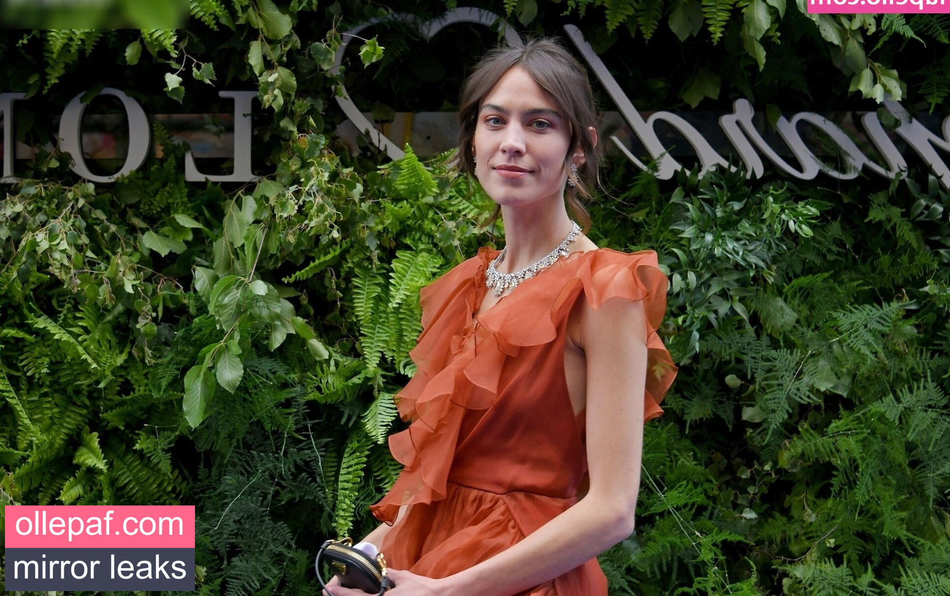 Latest Leaks Alexa Chung Nude #41 - Fapello