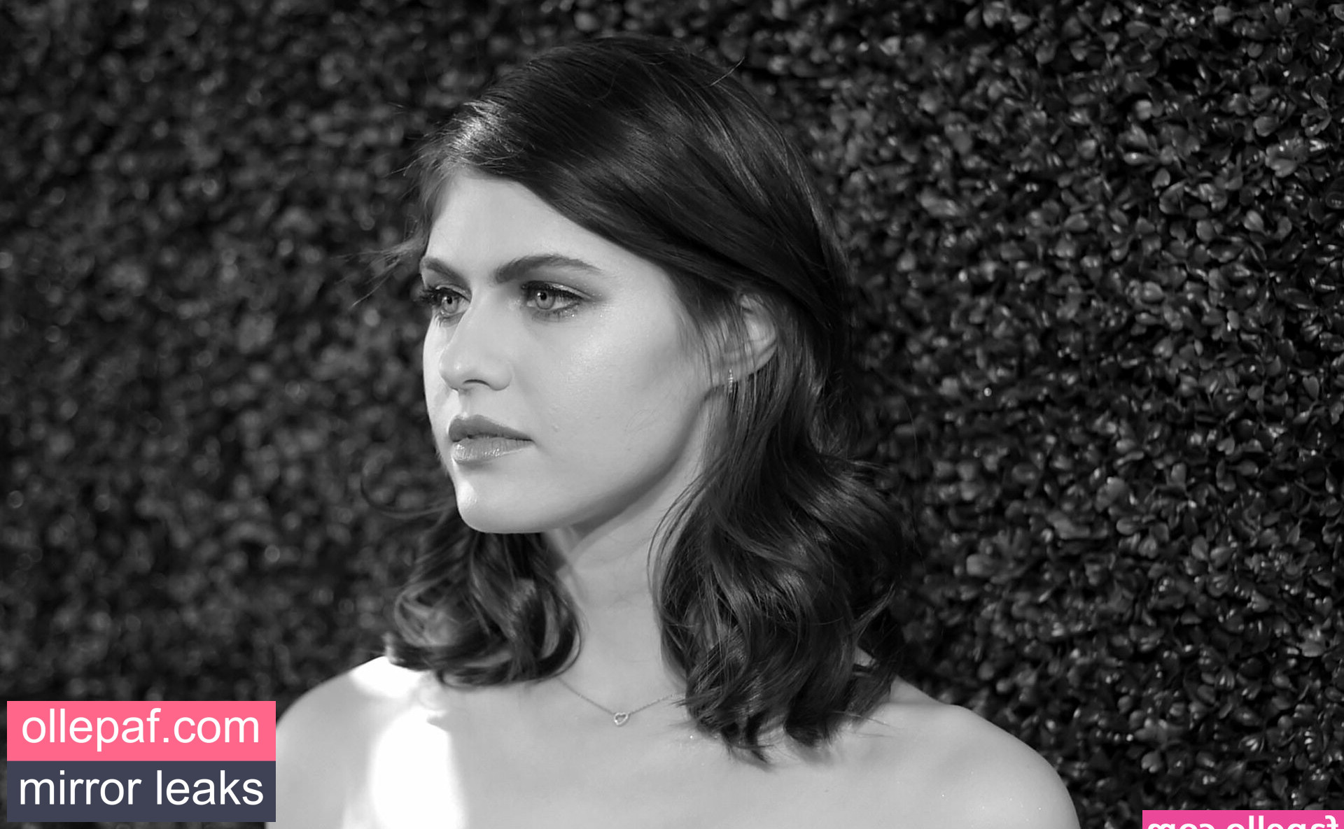 Latest Leaks Alexandra Daddario Nude #1135 - Fapello