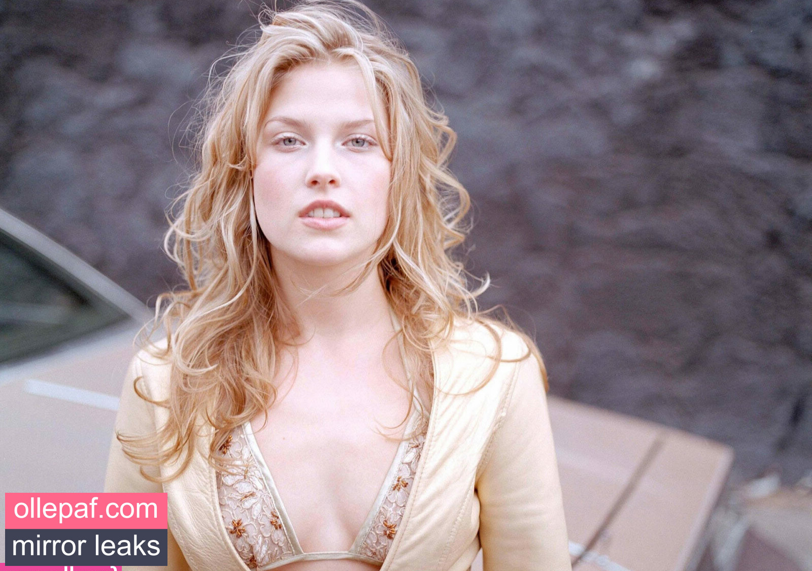 Latest Leaks Ali Larter Nude #411 - Fapello