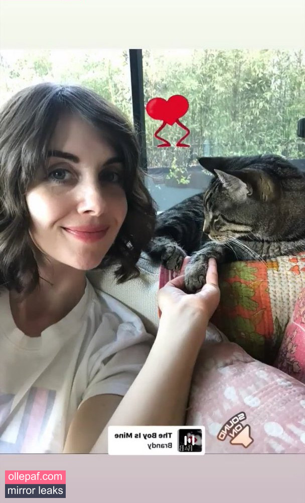 Latest Leaks Alison Brie Nude #1262 - Fapello