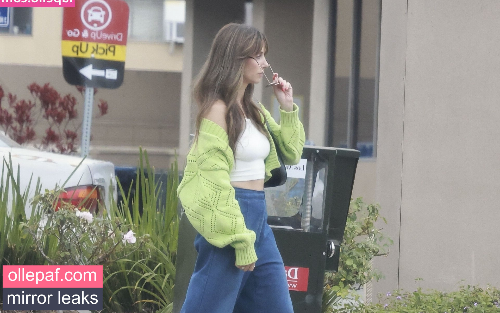 Latest Leaks Alison Brie Nude #242 - Fapello