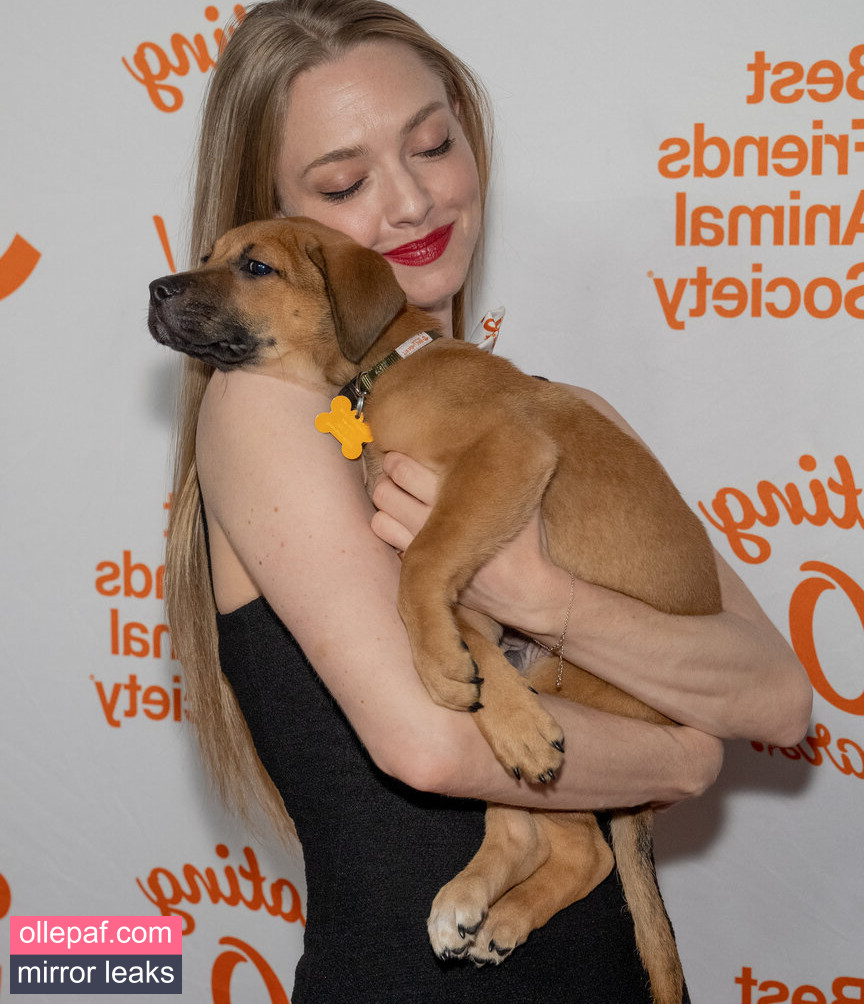 Amanda Seyfried Nude Leaks OnlyFans #127 - Fapello