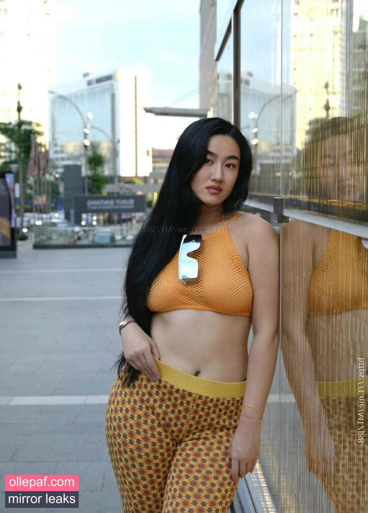 Latest Leaks Amelie Qin Nude #11 - Fapello