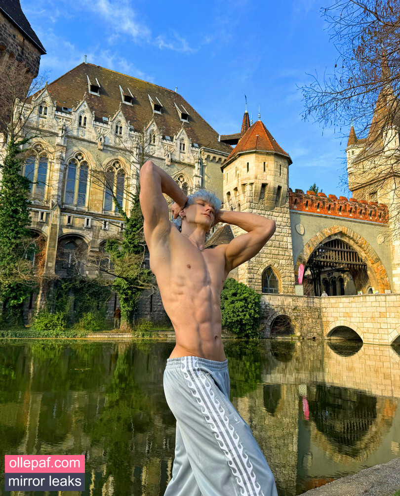 Latest Leaks andrii_shine Nude #3 - Fapello
