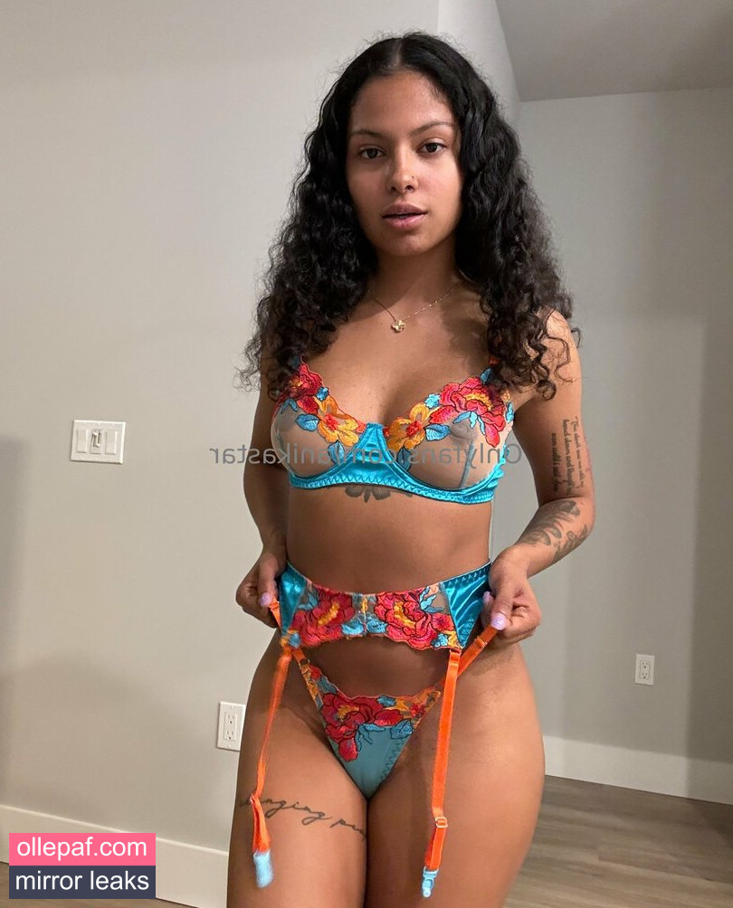 Latest Leaks anikastar Nude #34 - Fapello