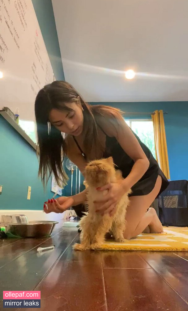 Latest Leaks Anna Akana Nude #588 - Fapello