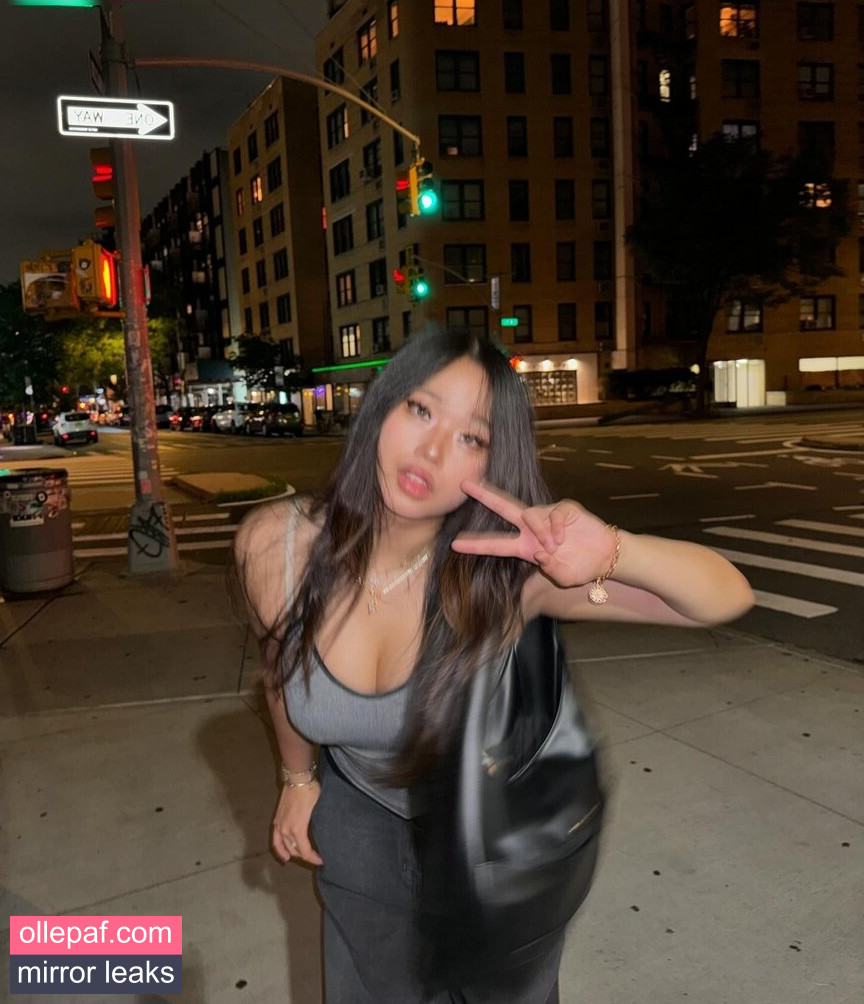 Latest Leaks Annie Zheng (@cellow111) Nude #27 - Fapello