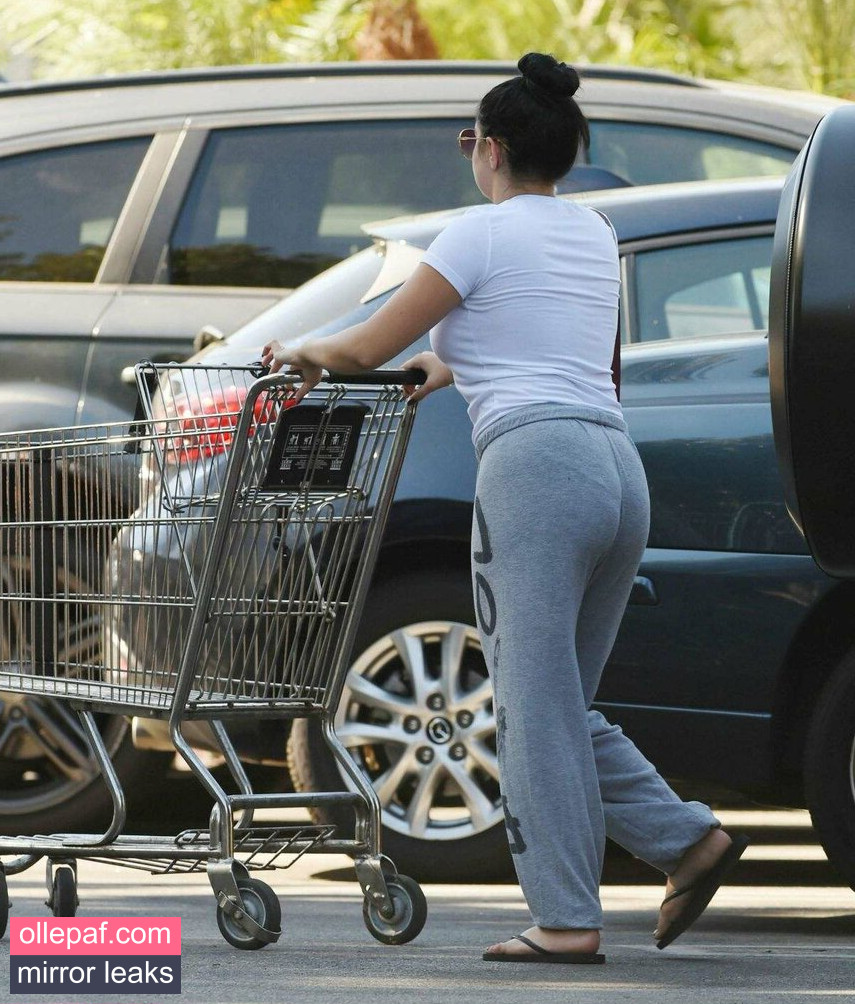Latest Leaks Ariel Winter Nude #1003 - Fapello