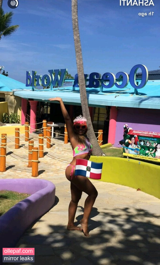 Latest Leaks Ashanti Nude #398 - Fapello