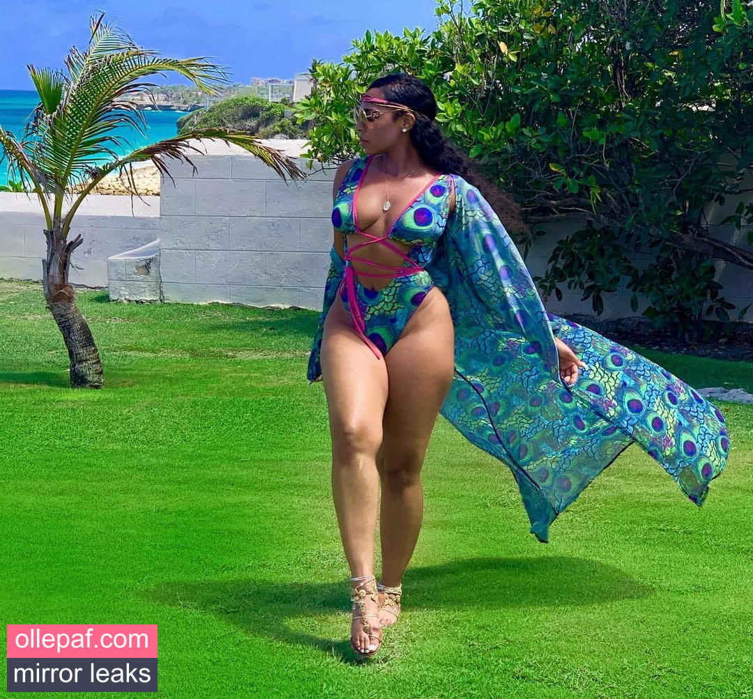 Latest Leaks Ashanti Nude #445 - Fapello