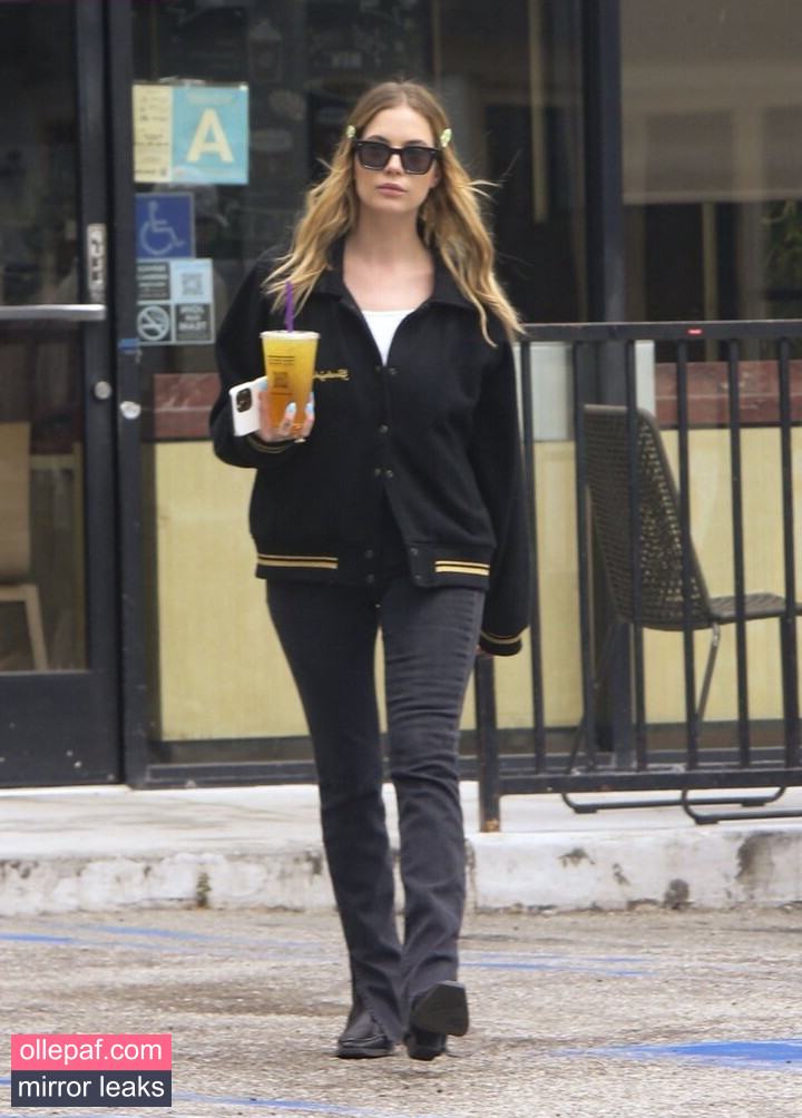 Latest Leaks Ashley Benson Nude #482 - Fapello