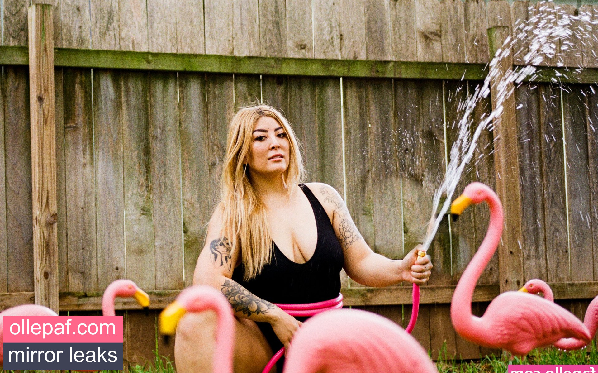 Latest Leaks Ashlynn Arias Nude #28 - Fapello