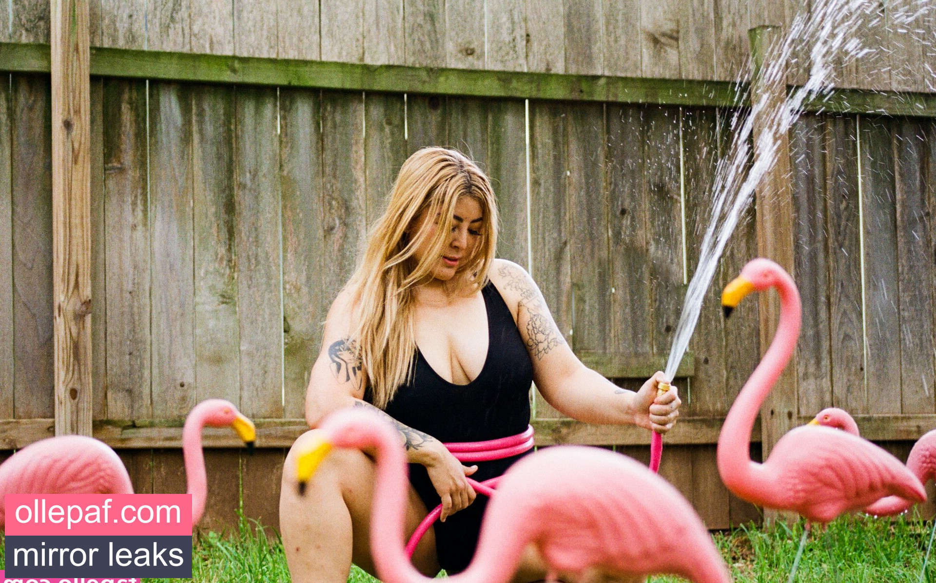 Latest Leaks Ashlynn Arias Nude #29 - Fapello