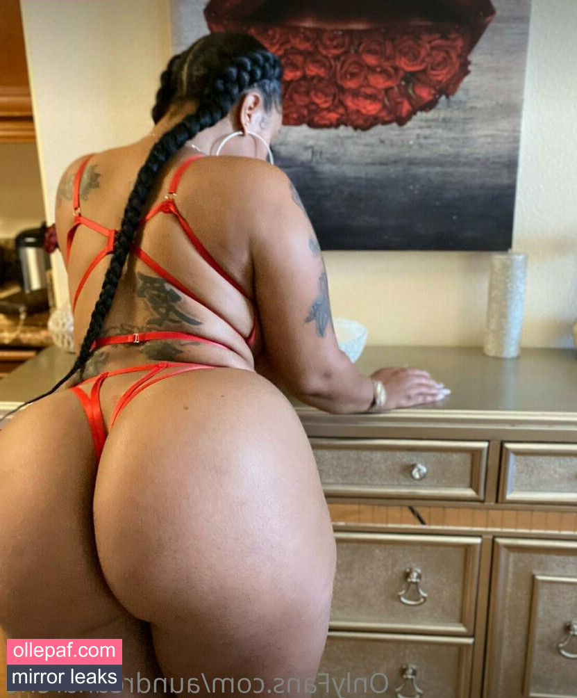 Latest Leaks Aundreana Rene Nude #23 - Fapello