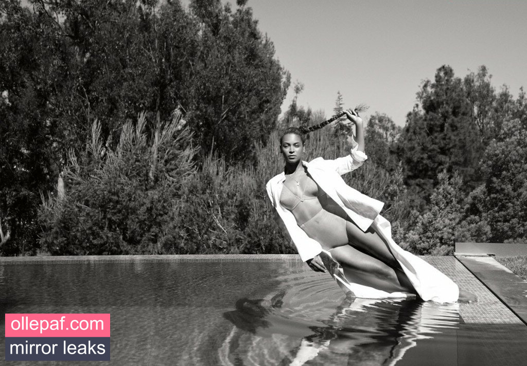Latest Leaks Beyonce Nude #1068 - Fapello