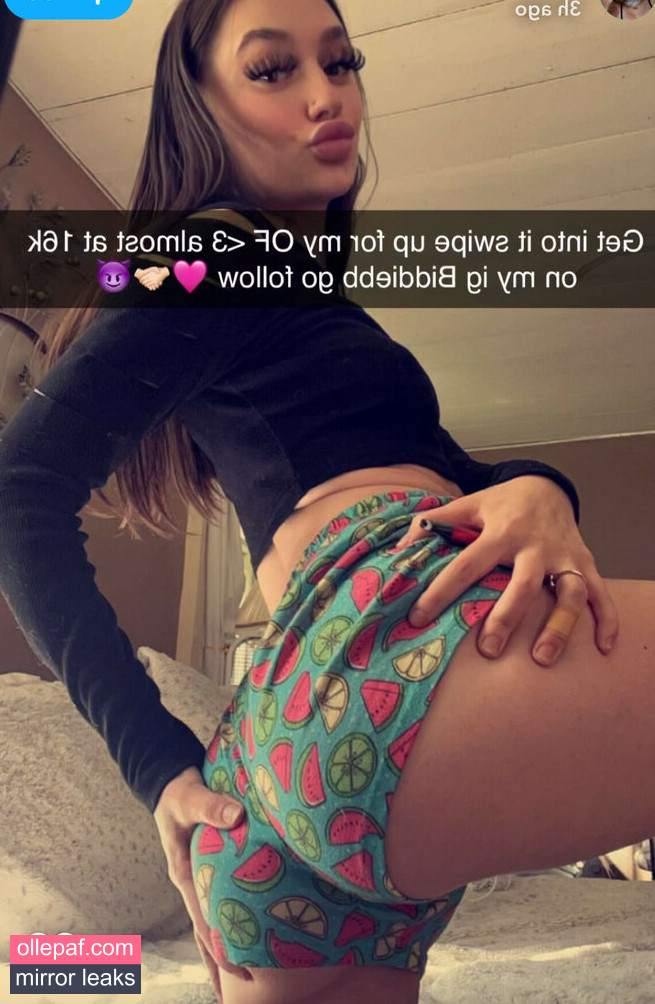 Latest Leaks Biddiebb Nude #9 - Fapello