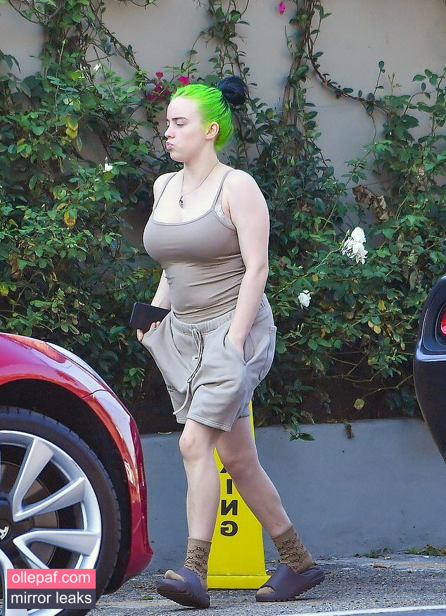 Latest Leaks Billie Eilish Nude #1115 - Fapello