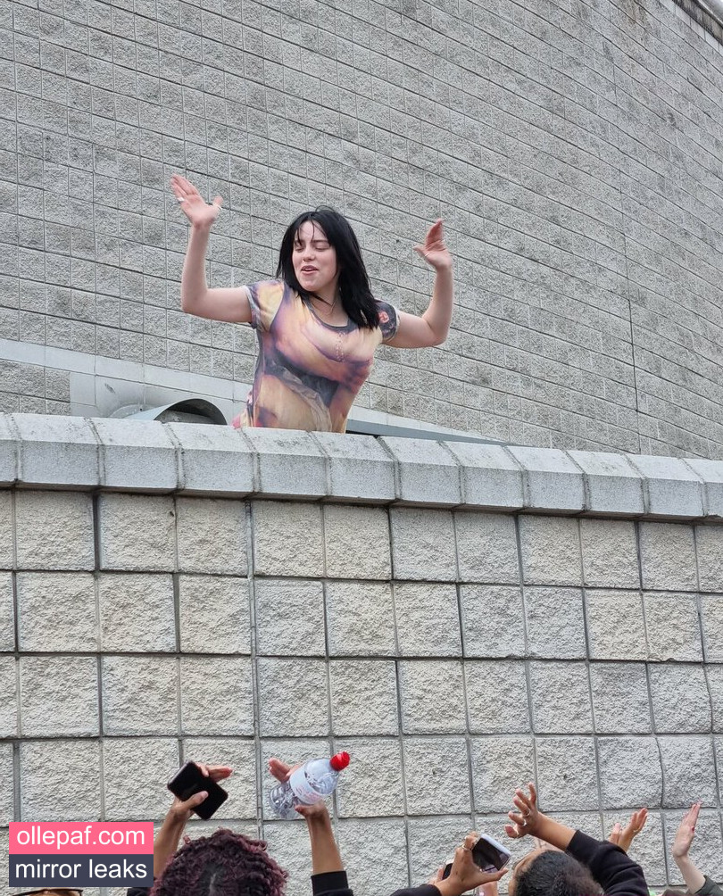 Latest Leaks Billie Eilish Nude #133 - Fapello