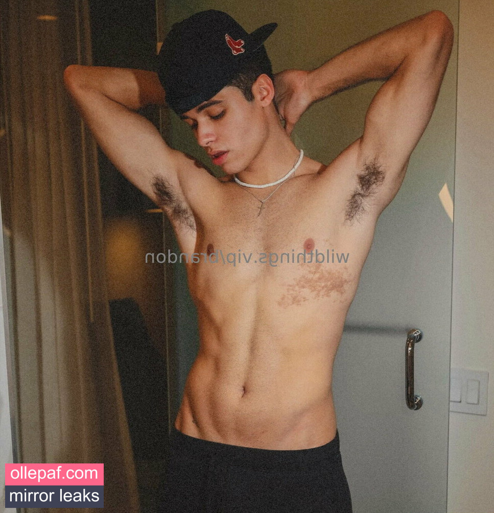 Latest Leaks brandoncardoso Nude #15 - Fapello