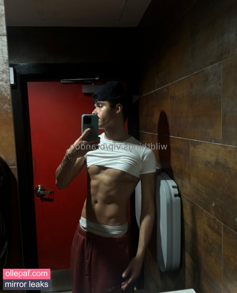 Latest Leaks brandoncardoso Nude #16 - Fapello