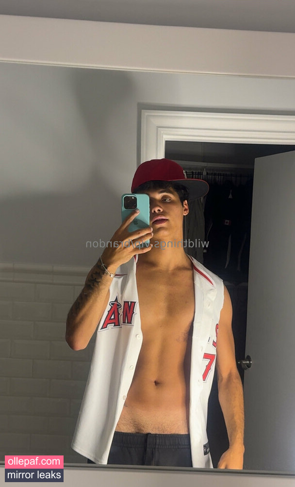 Latest Leaks brandoncardoso Nude #3 - Fapello