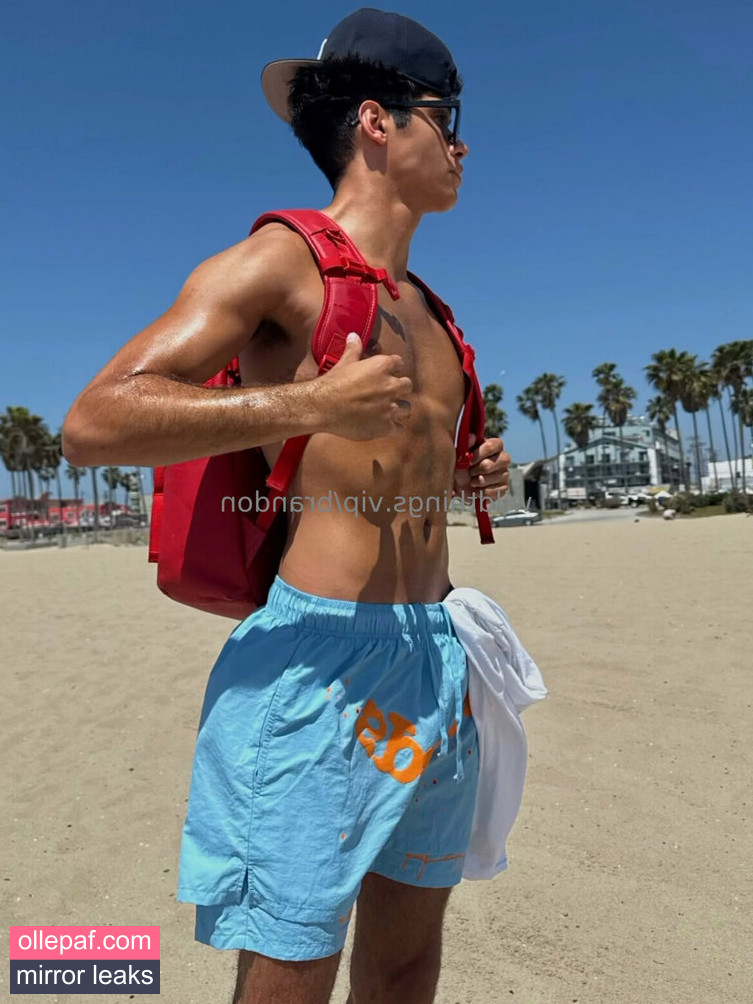 Latest Leaks brandoncardoso Nude #6 - Fapello