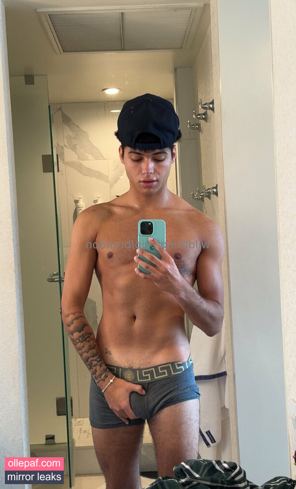 Latest Leaks brandoncardoso Nude #7 - Fapello