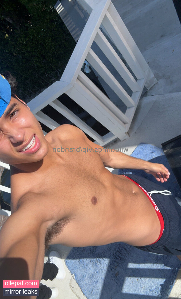 Latest Leaks brandoncardoso Nude #10 - Fapello