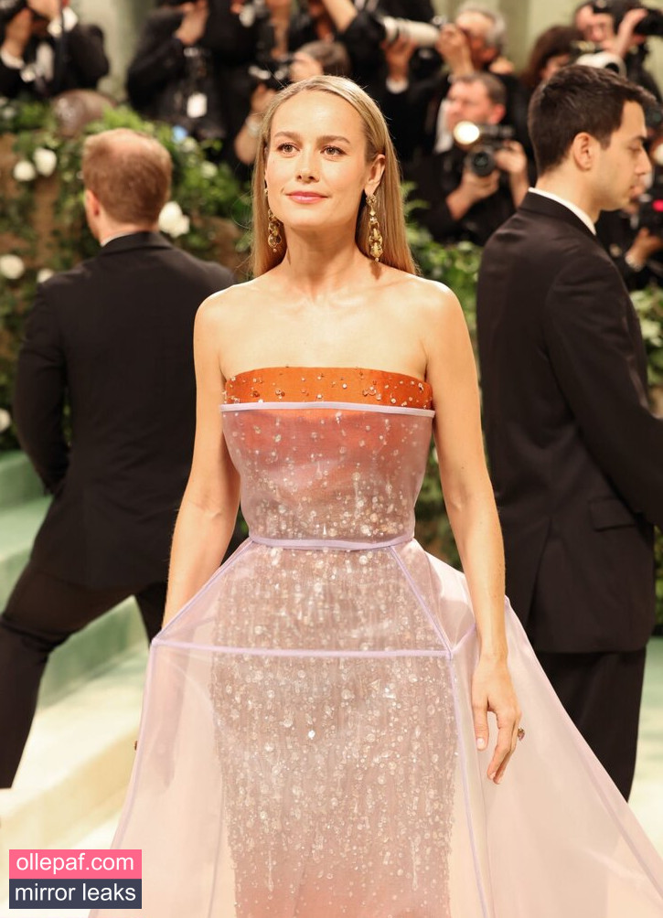 Latest Leaks Brie Larson Nude #1076 - Fapello