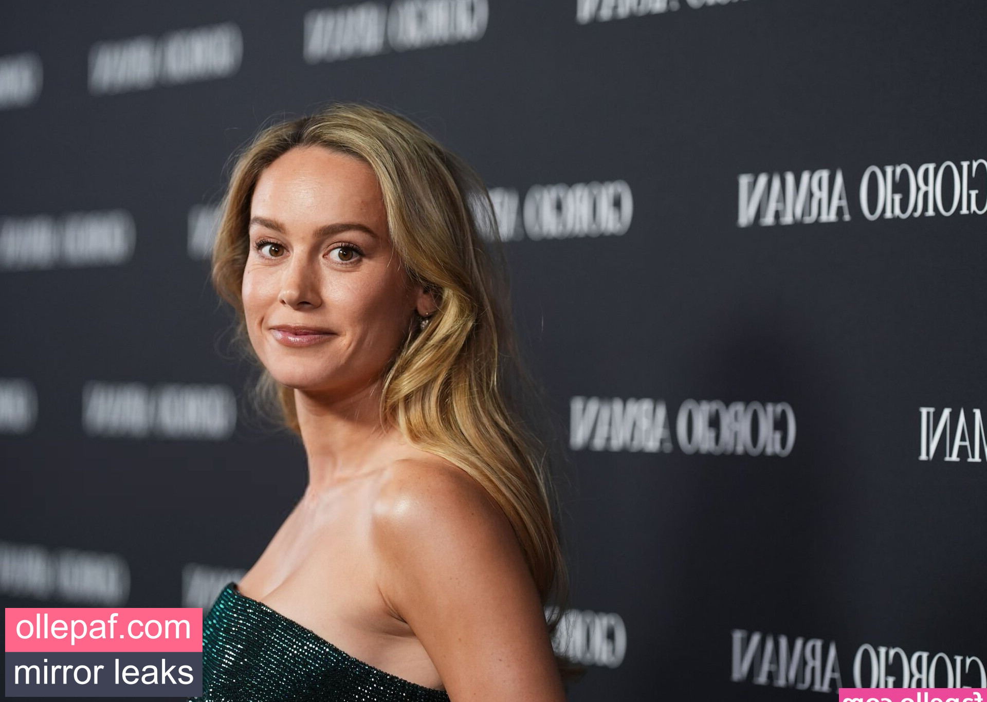 Latest Leaks Brie Larson Nude #273 - Fapello