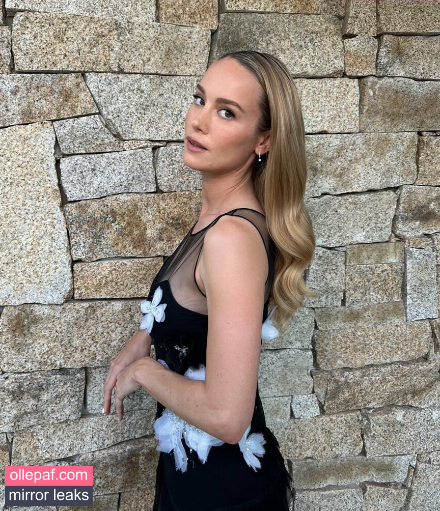 Latest Leaks Brie Larson Nude #605 - Fapello