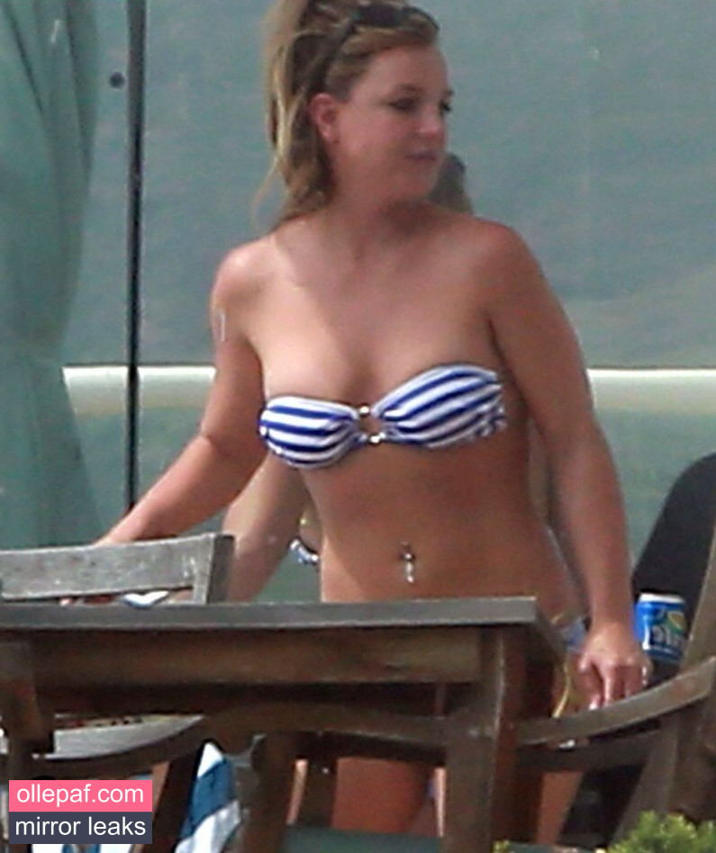 Latest Leaks Britney Spears Nude #123 - Fapello