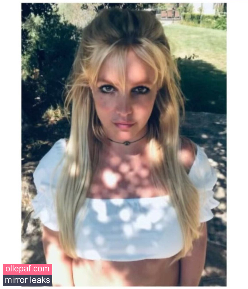 Latest Leaks Britney Spears Nude #319 - Fapello