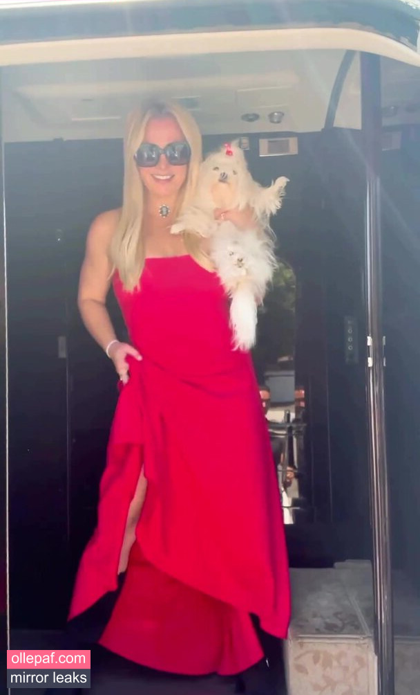 Latest Leaks Britney Spears Nude #726 - Fapello