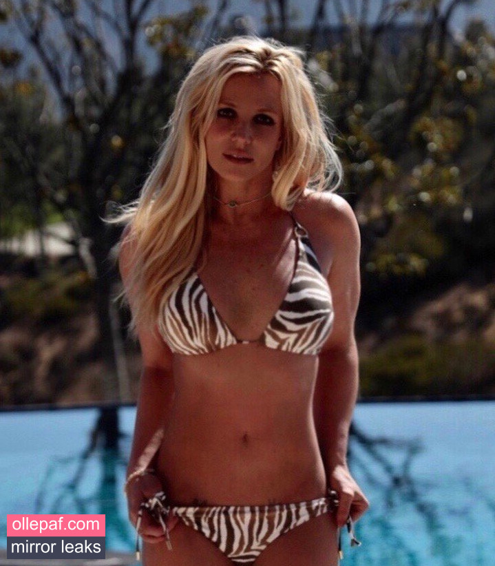Latest Leaks Britney Spears Nude #842 - Fapello