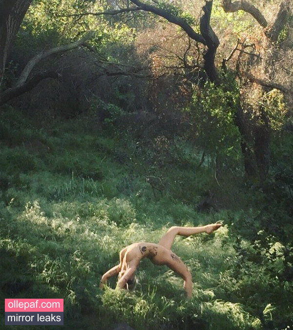 Latest Leaks Brooke Candy Nude #87 - Fapello