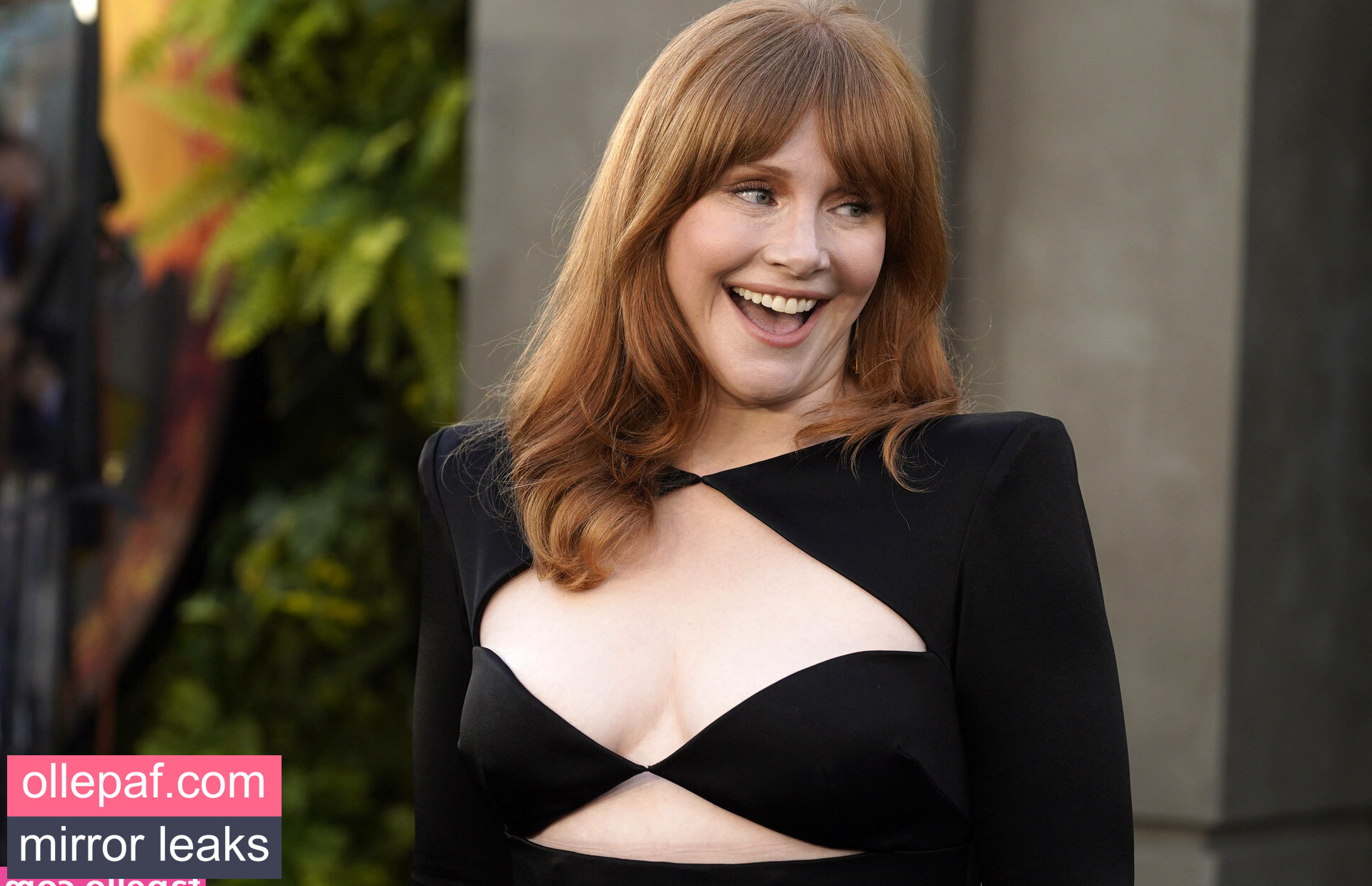 Latest Leaks Bryce Dallas Howard Nude #615 - Fapello