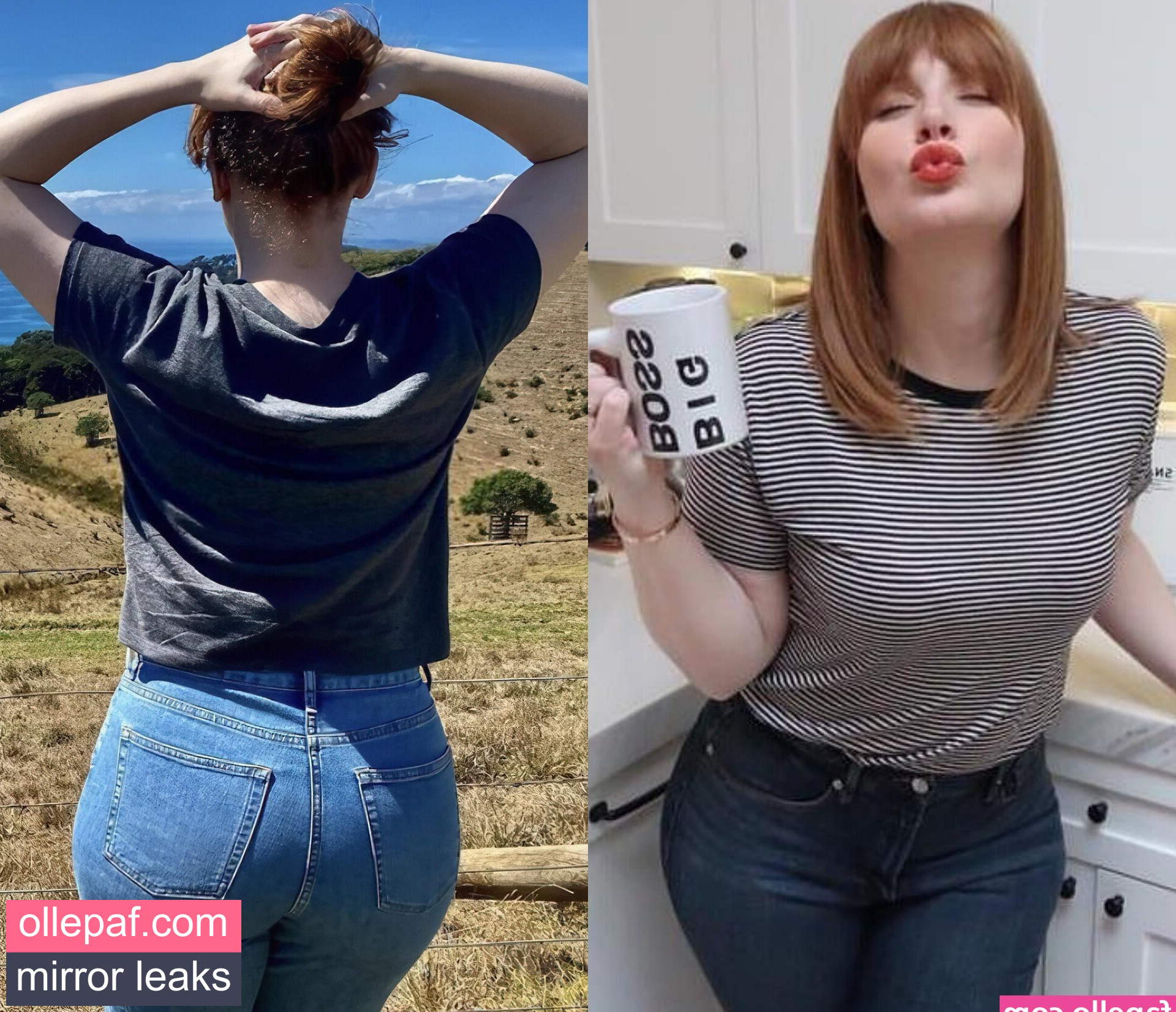 Latest Leaks Bryce Dallas Howard Nude #643 - Fapello