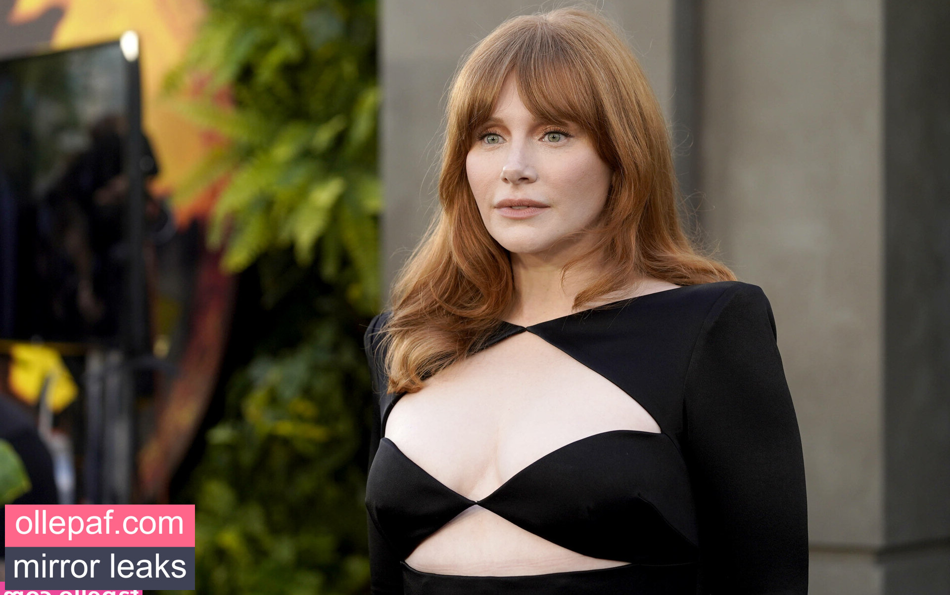 Latest Leaks Bryce Dallas Howard Nude #867 - Fapello