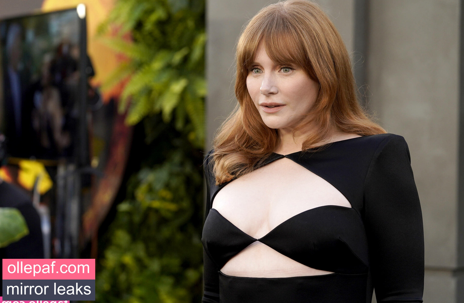 Latest Leaks Bryce Dallas Howard Nude #869 - Fapello