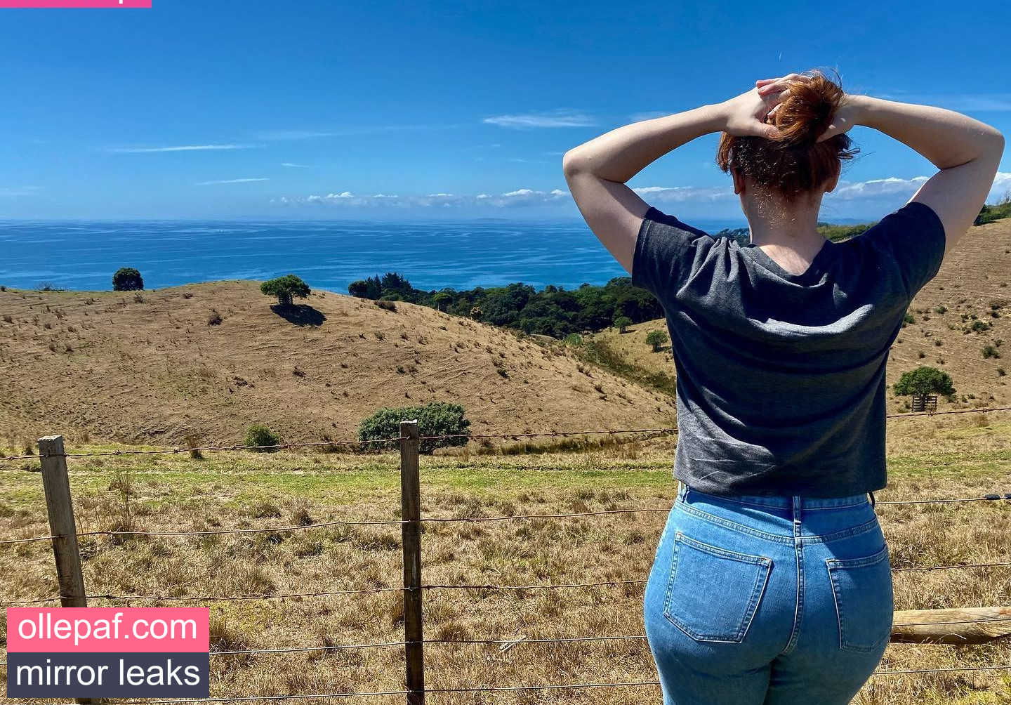 Latest Leaks Bryce Dallas Howard Nude #936 - Fapello