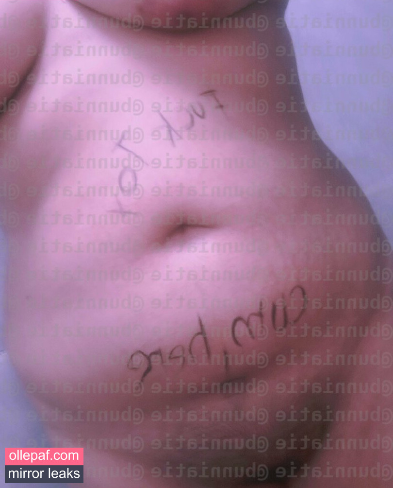 Latest Leaks bunniatie Nude #6 - Fapello