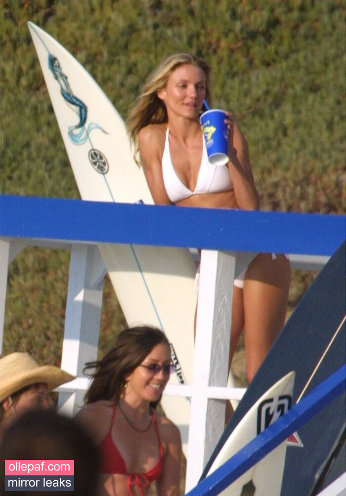 Latest Leaks Cameron Diaz Nude #199 - Fapello
