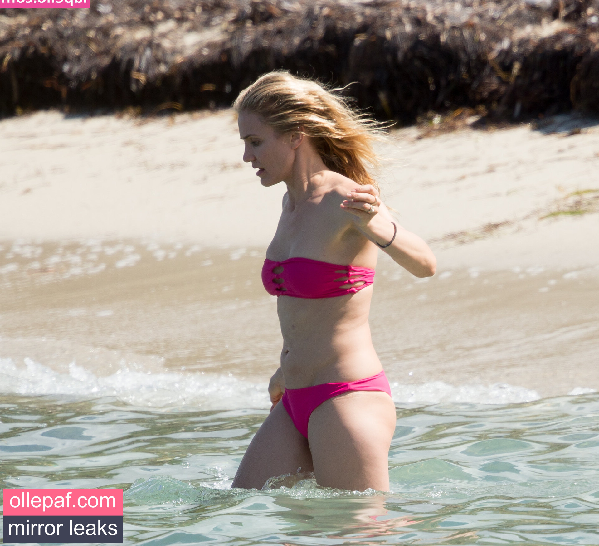 Latest Leaks Cameron Diaz Nude #531 - Fapello